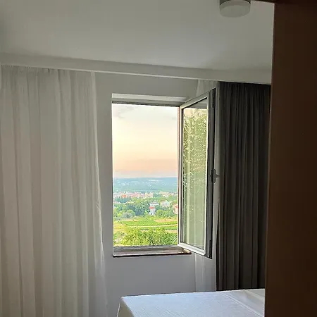 View *